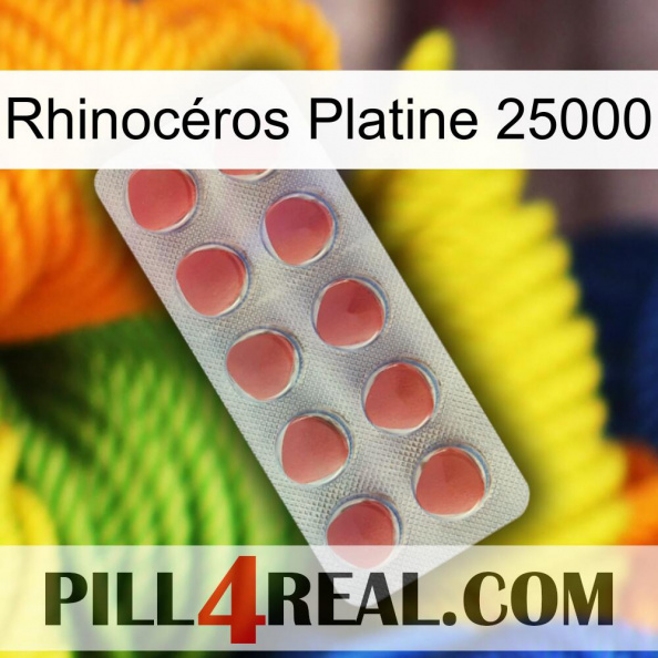 Rhinocéros Platine 25000 18.jpg